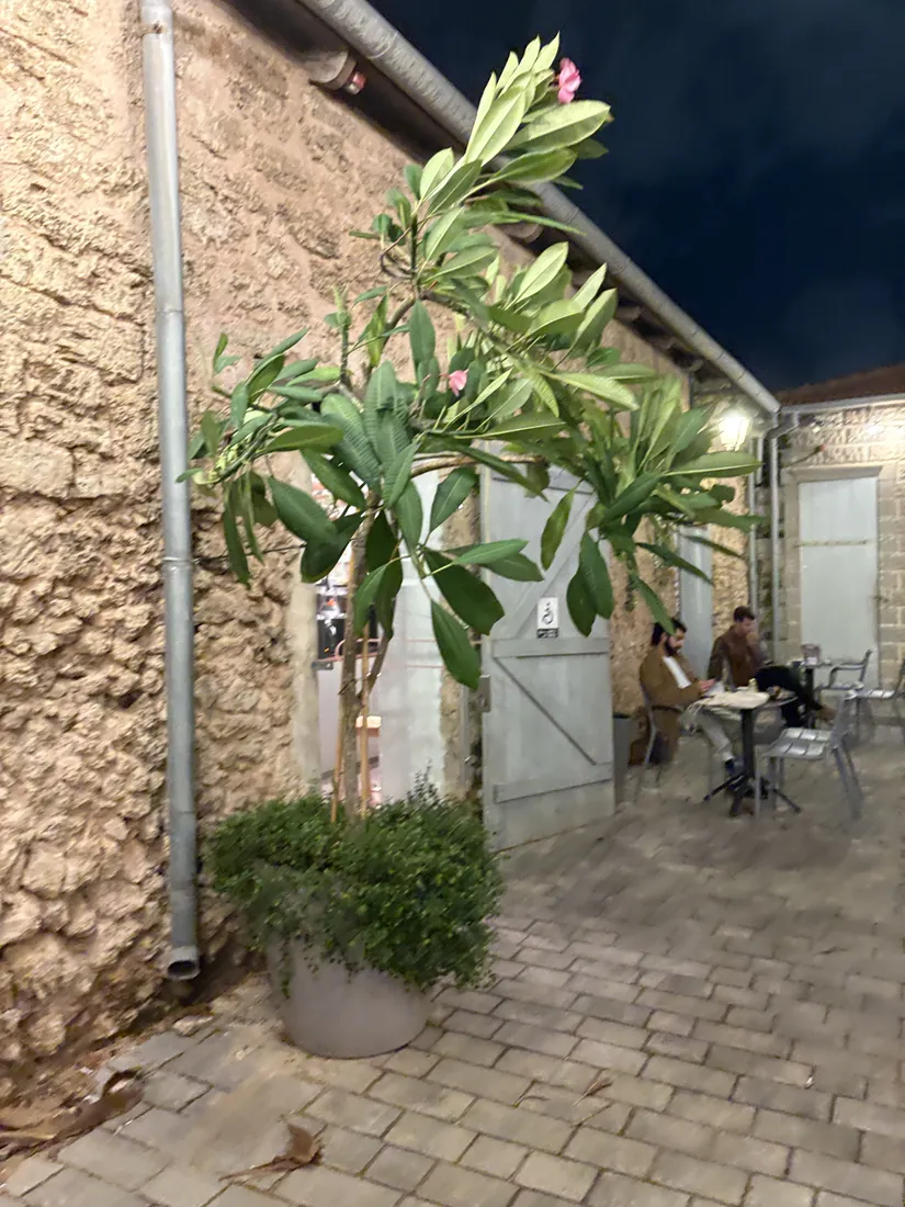 חצר ירוקה בעסק בתל אביב