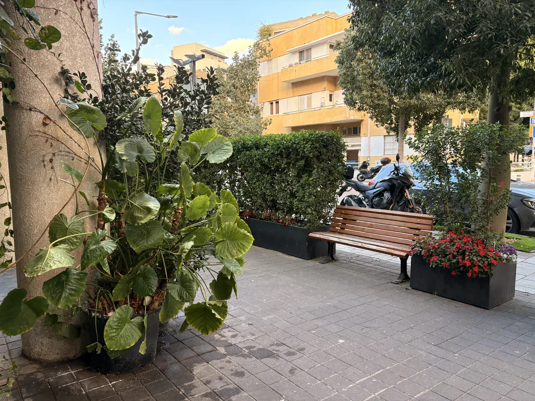 חזית חנות עם צמחייה ברחוב