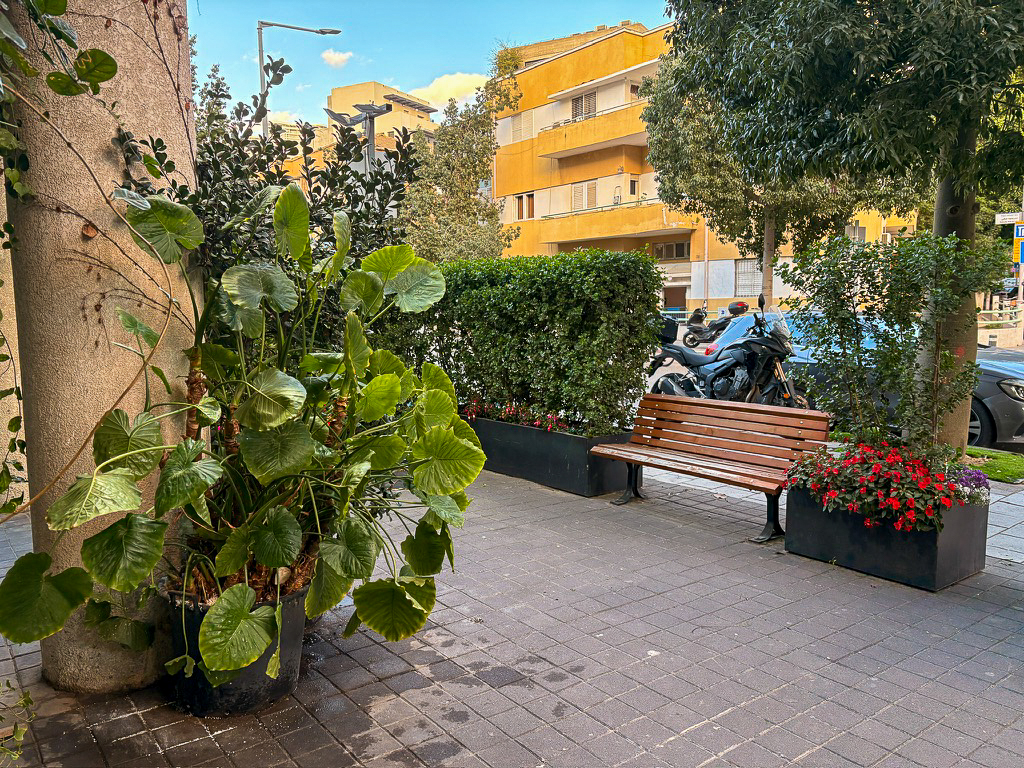 עיצוב ירוק לרחוב מסחרי
