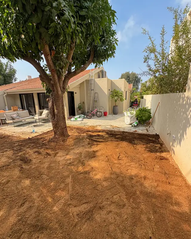 חצר חשופה לפני העבודה, עם עץ קיים שנשמר במרכזה