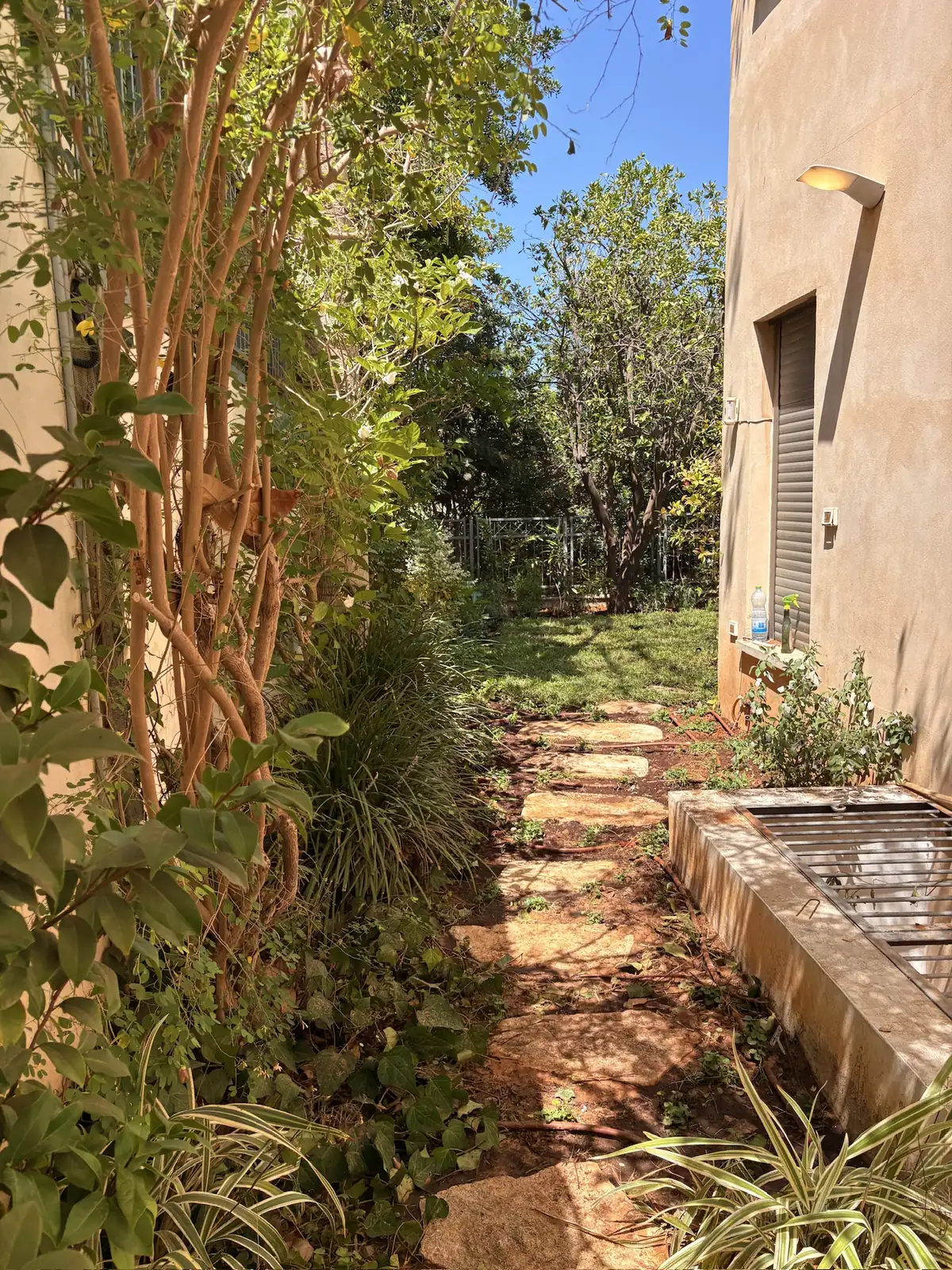 שביל אבנים בין המטפסים