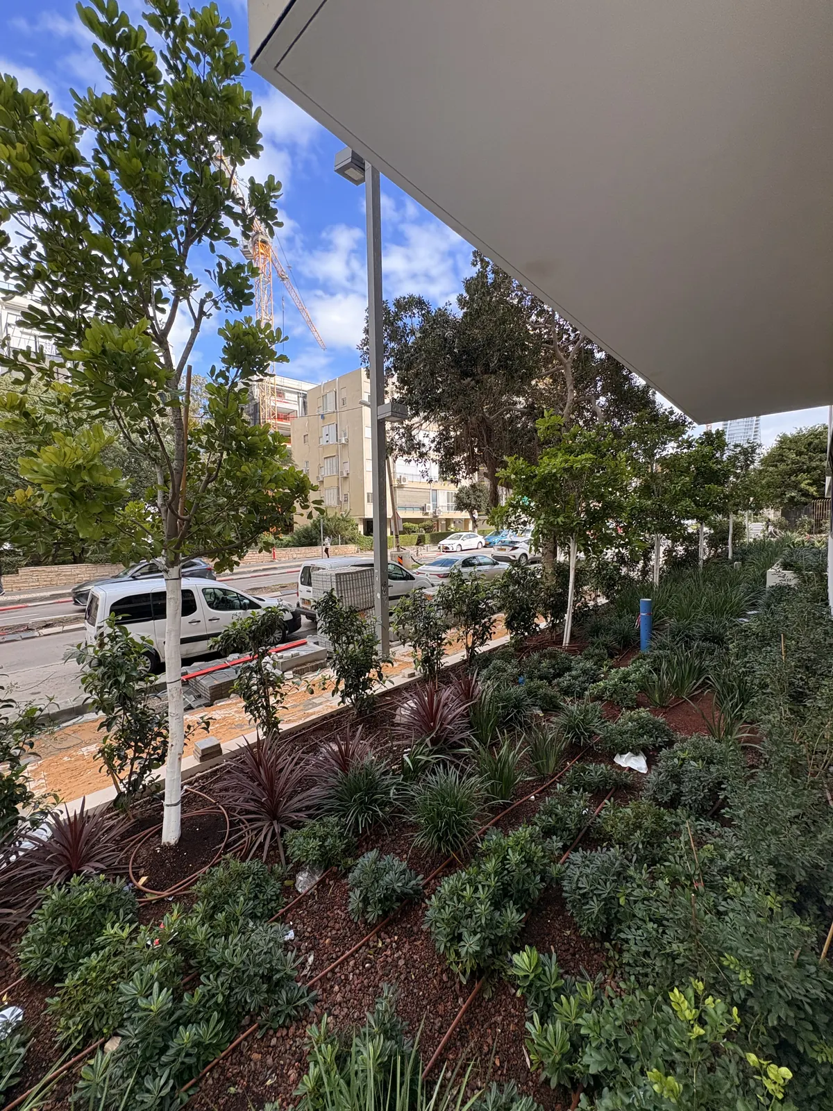 פרספקטיבה לאורך חזית הבניין עם עצים בגזעים מולבנים