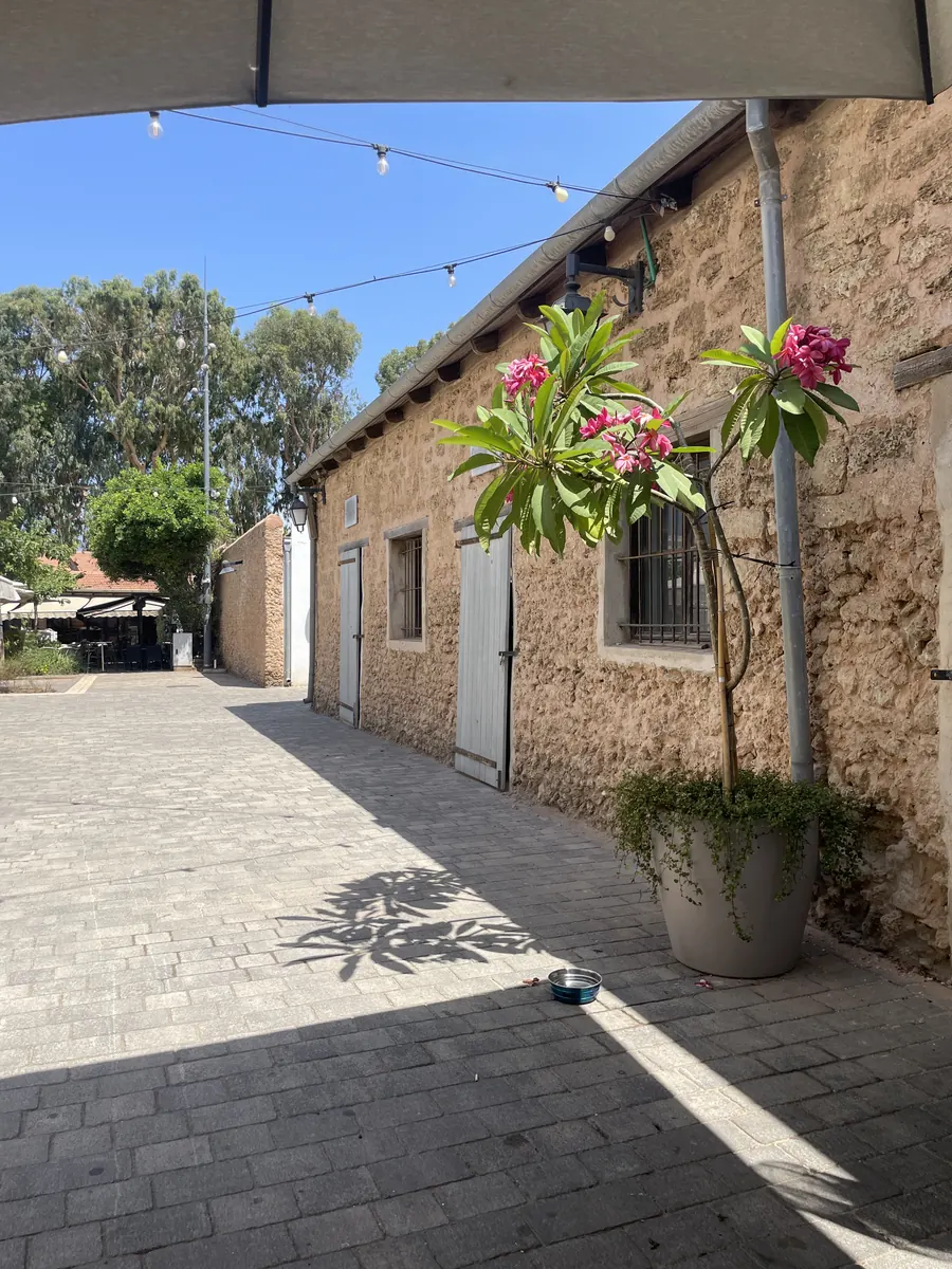 חצר בית הקפה בלילה: שרשראות תאורה ומבני אבן