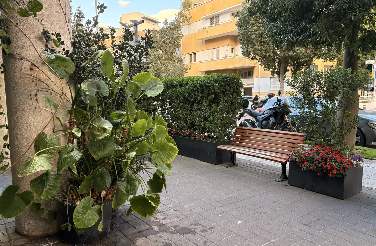 שתילת רחוב וספסל מול החנות
