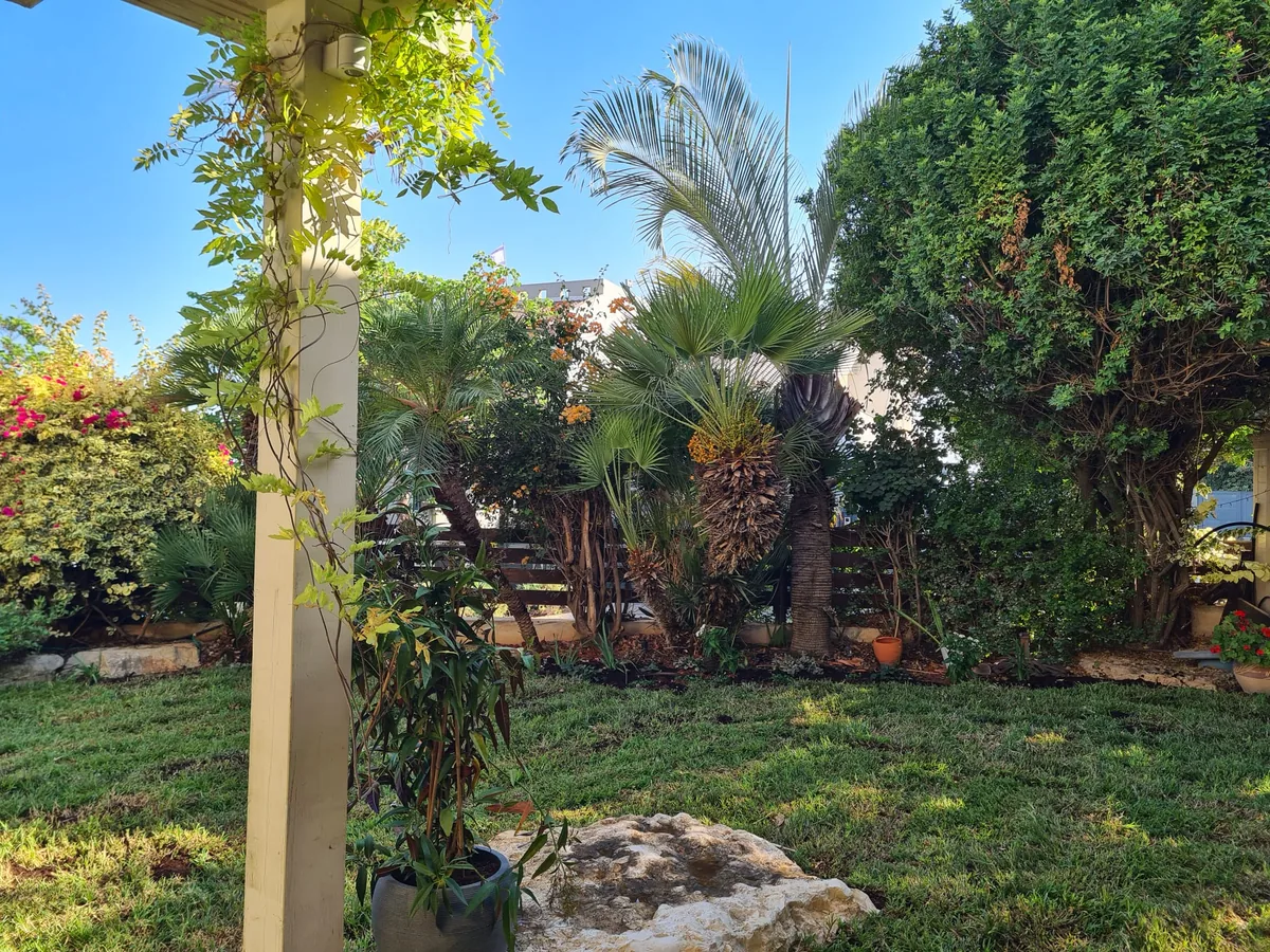 גינה שופעת עם דקלים ומדשאה