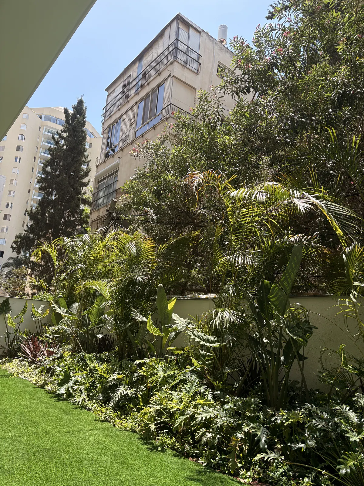 הגבול הצפוף: דקלים ופילודנדרון מעל הדשא