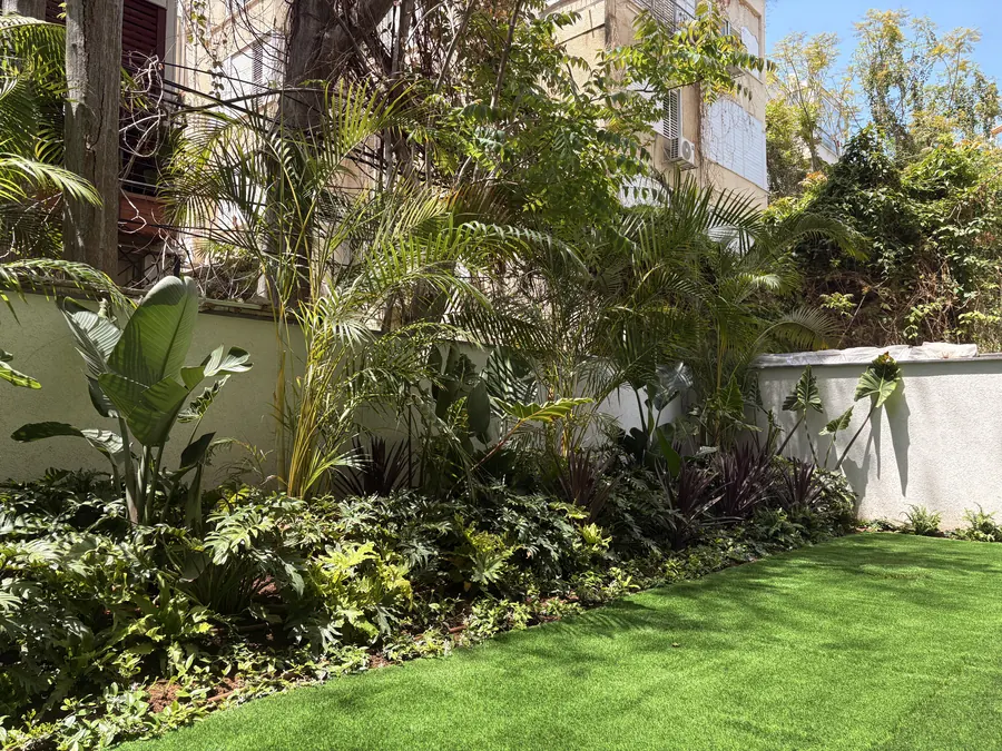 פינה טרופית: דקלי אריקה וסטרליציה על רקע קיר לבן